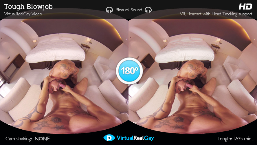 Virtual Reality Sissy Hypno